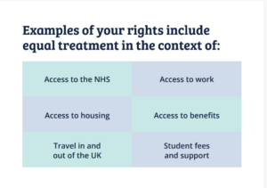 IMA leaflet download